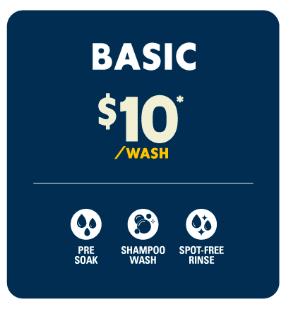 Basic Single Wash