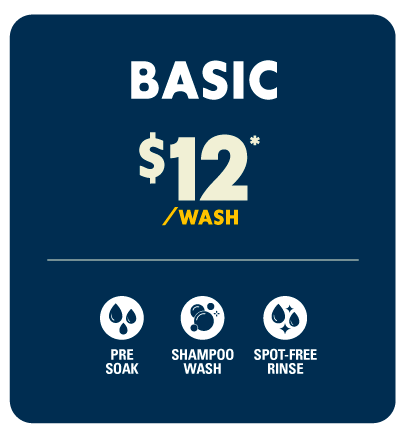 Basic-Single-Wash